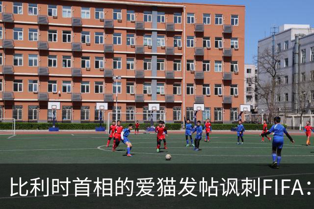 比利时首相的爱猫发帖讽刺FIFA：“红牌？”我照样继续踢！