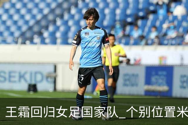 王霜回归女足国家队 个别位置米利西奇仍在考察